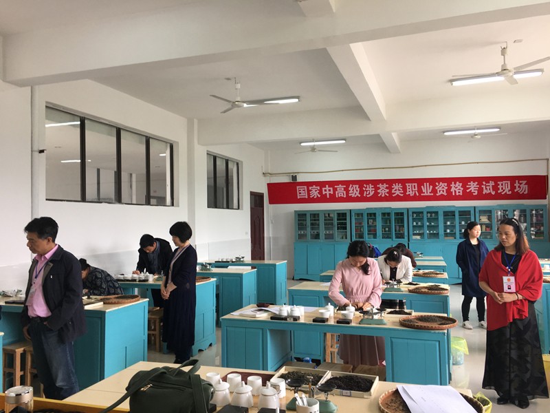 2018年度杏盛 第二期涉茶类职业资格技能鉴定培训圆满结束